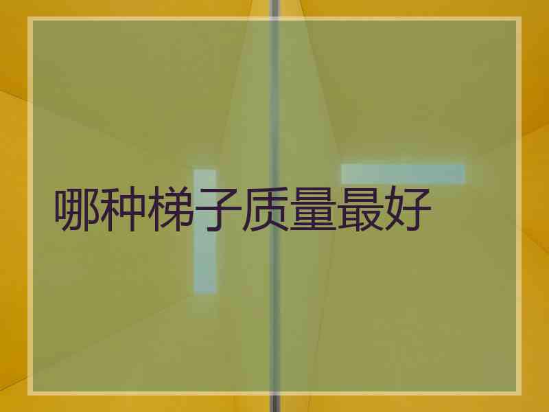 哪种梯子质量最好 哪种梯子质量最好