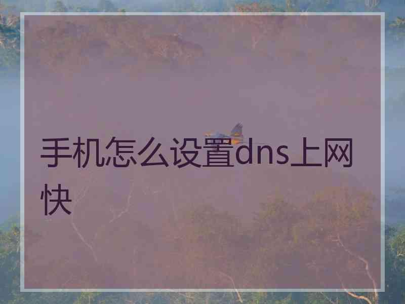 手机怎么设置dns上网快 手机怎么设置dns上网快