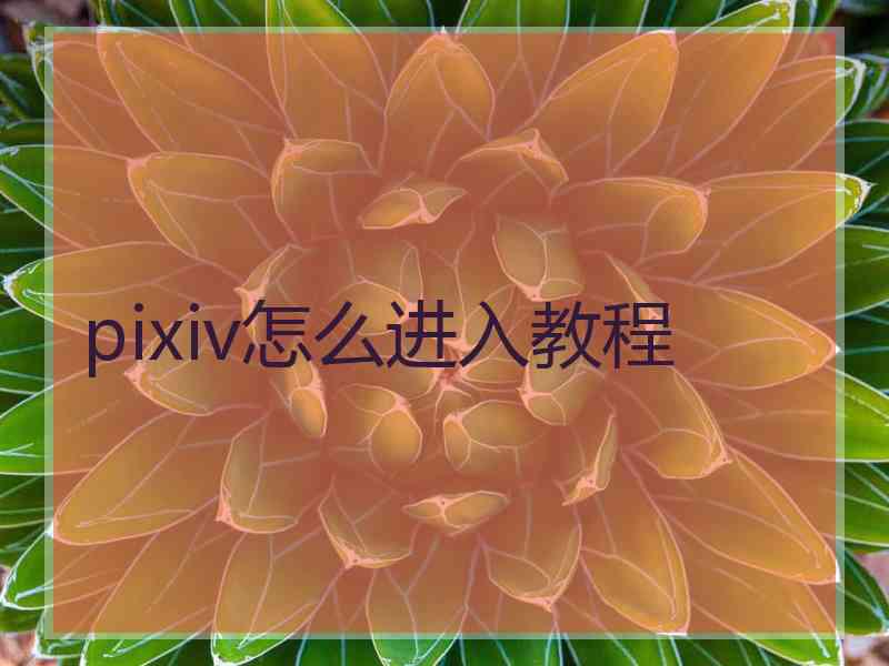pixiv怎么进入教程 pixiv怎么进入教程
