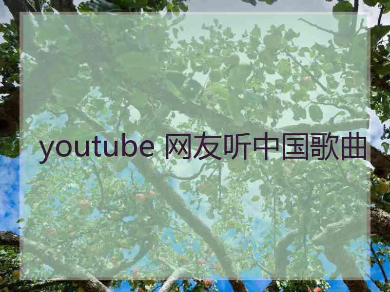 youtube 网友听中国歌曲