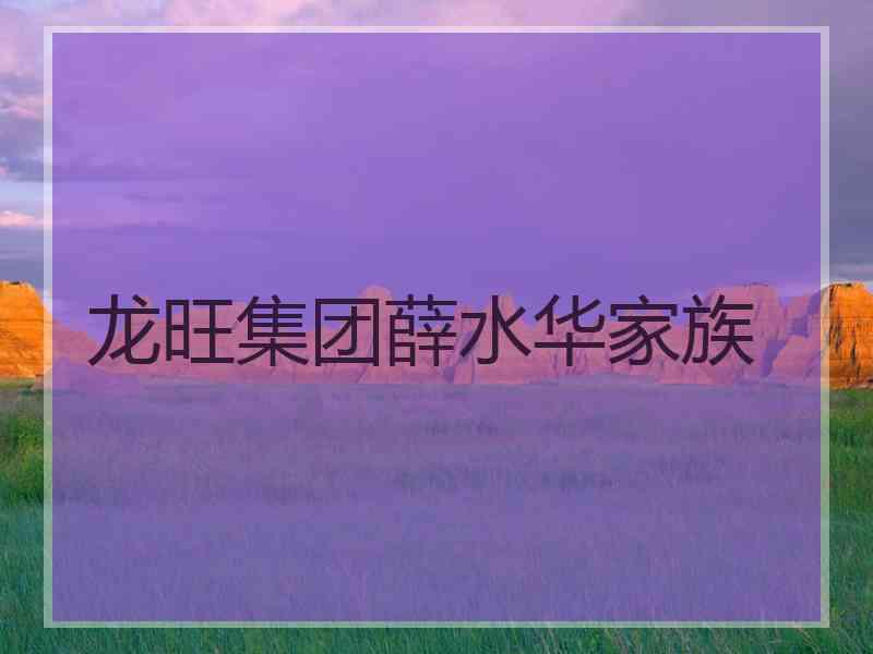 龙旺集团薛水华家族 龙旺集团薛水华家族