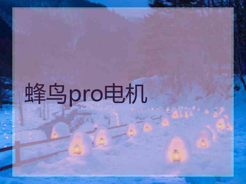 蜂鸟pro电机 蜂鸟pro电机