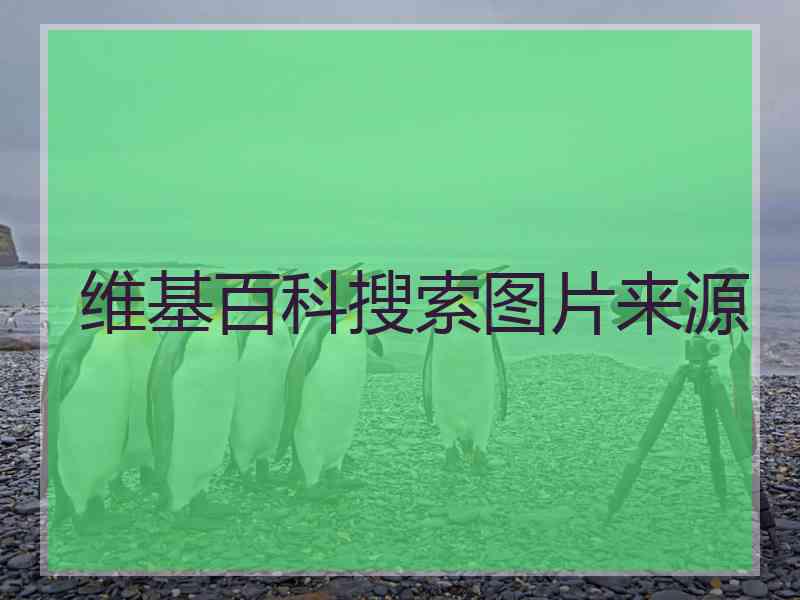 维基百科搜索图片来源 维基百科搜索图片来源