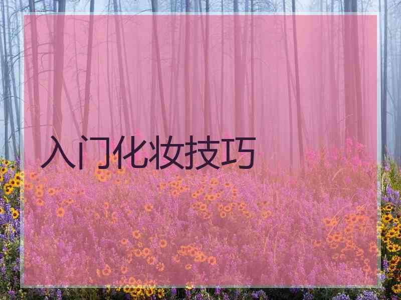 入门化妆技巧 入门化妆技巧