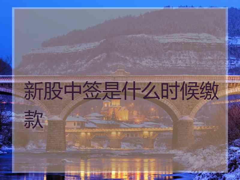 新股中签是什么时候缴款 新股中签是什么时候缴款