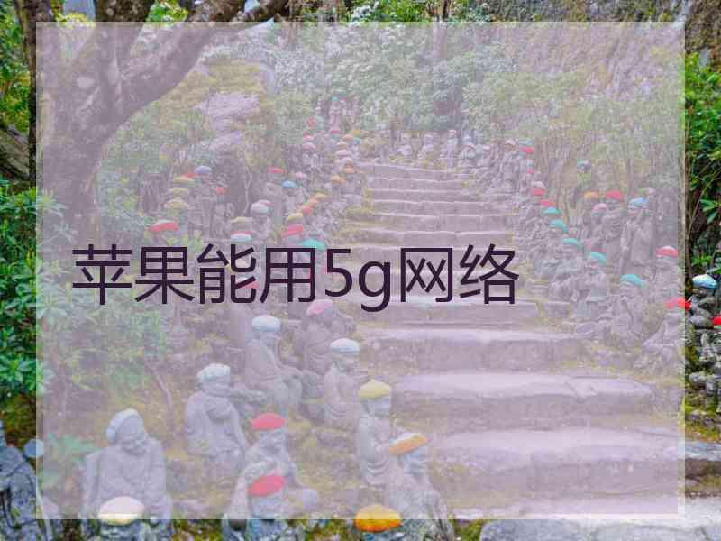 苹果能用5g网络 苹果能用5g网络