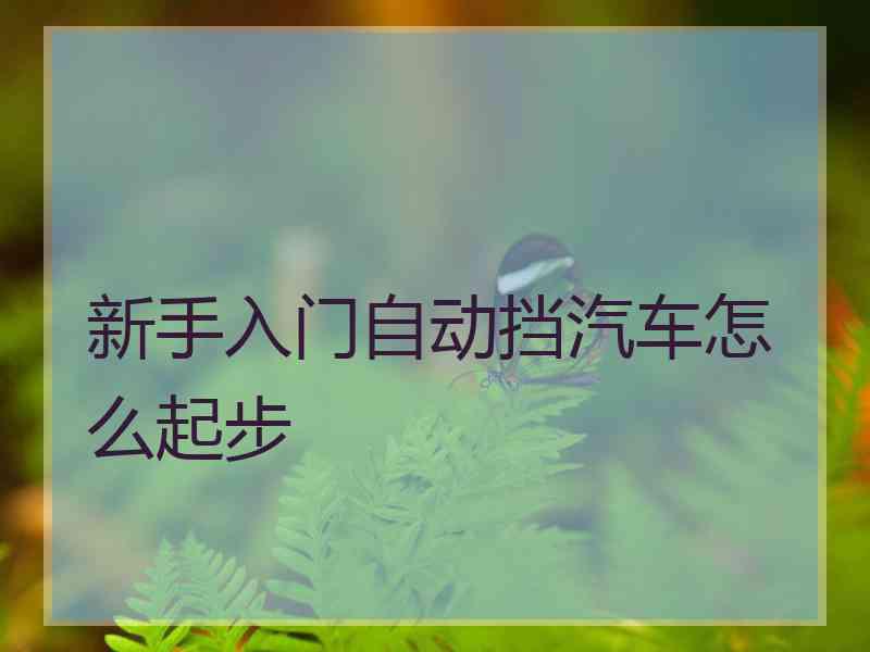 新手入门自动挡汽车怎么起步 新手入门自动挡汽车怎么起步