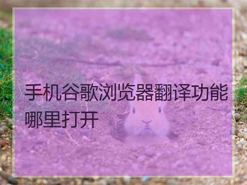 手机谷歌浏览器翻译功能哪里打开 手机谷歌浏览器翻译功能哪里打开