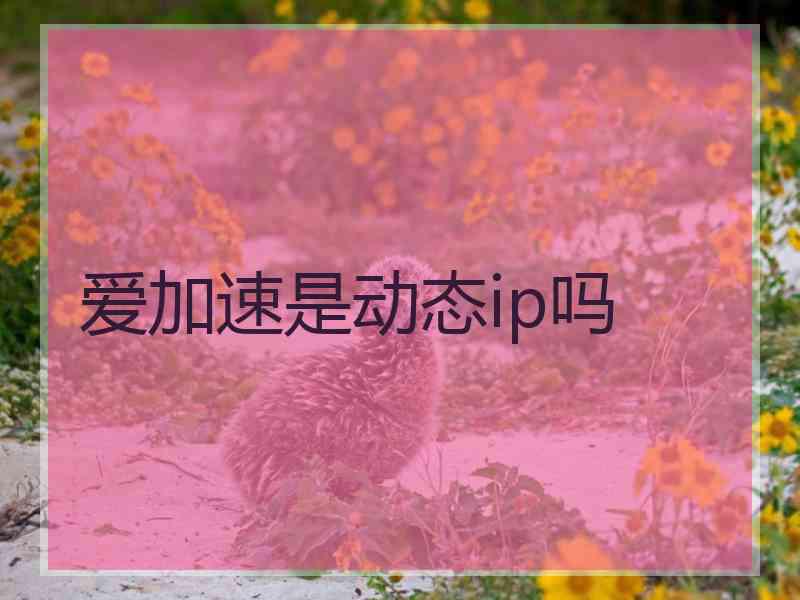 爱加速是动态ip吗 爱加速是动态ip吗