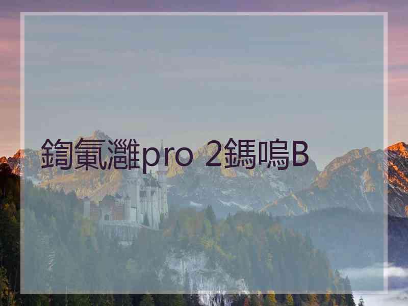 鍧氭灉pro 2鎷嗚В 鍧氭灉pro 2鎷嗚В