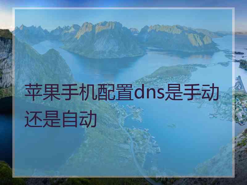 苹果手机配置dns是手动还是自动 苹果手机配置dns是手动还是自动