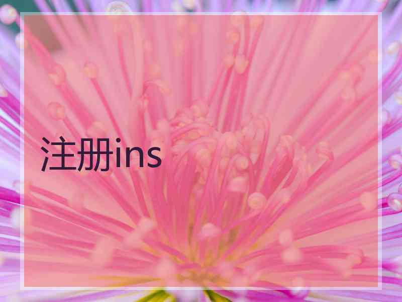 注册ins 注册ins
