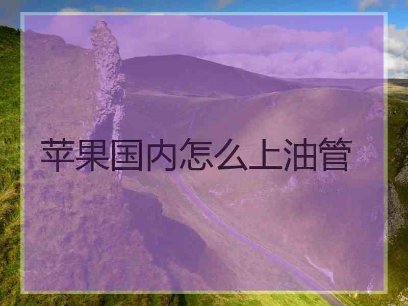 苹果国内怎么上油管 苹果国内怎么上油管