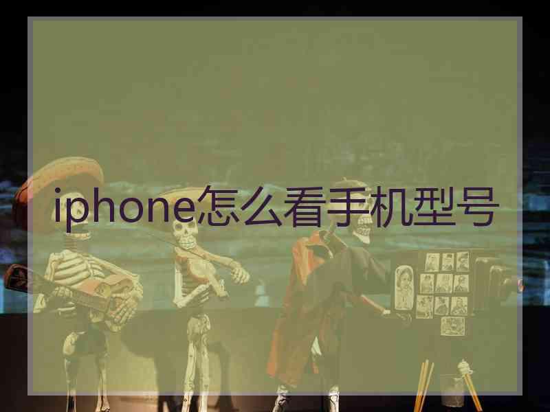 iphone怎么看手机型号 iphone怎么看手机型号