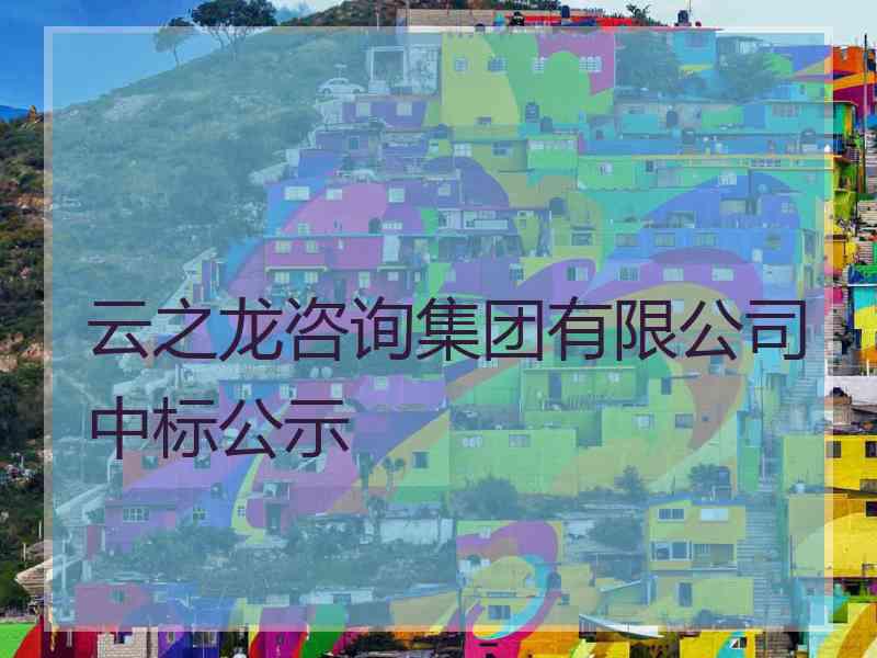 云之龙咨询集团有限公司中标公示 云之龙咨询集团有限公司中标公示