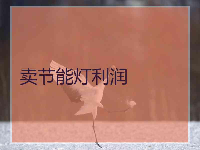 卖节能灯利润 卖节能灯利润