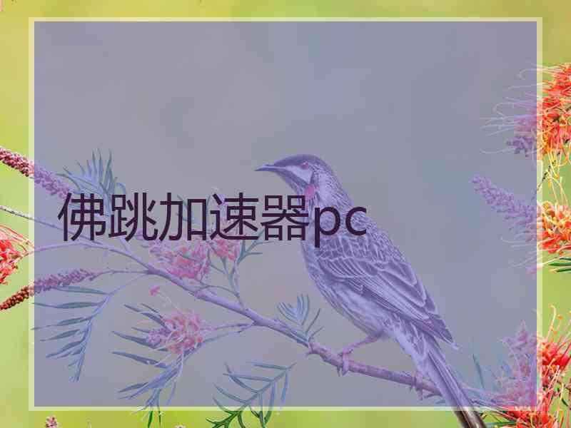 佛跳加速器pc 佛跳加速器pc