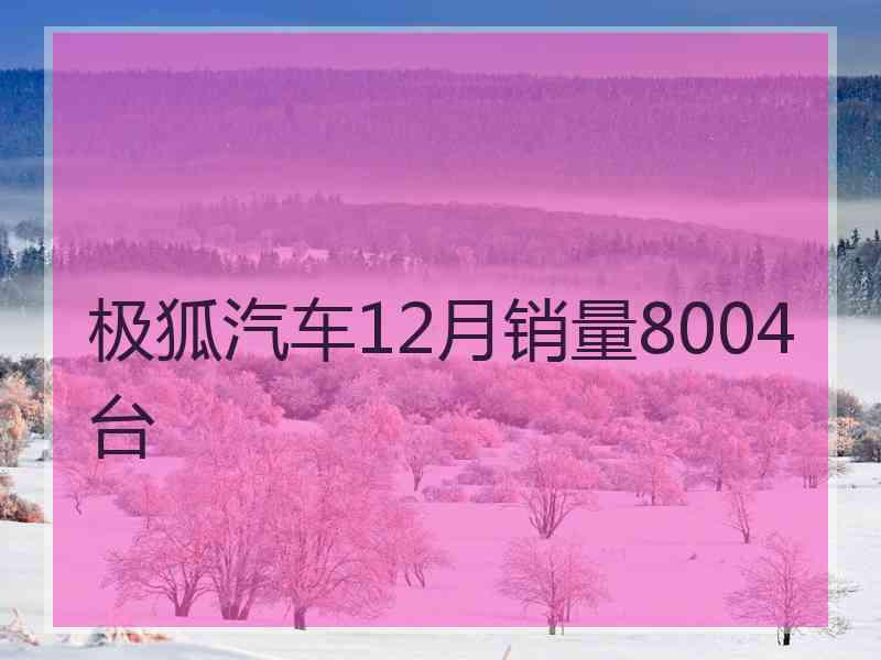 极狐汽车12月销量8004台 极狐汽车12月销量8004台