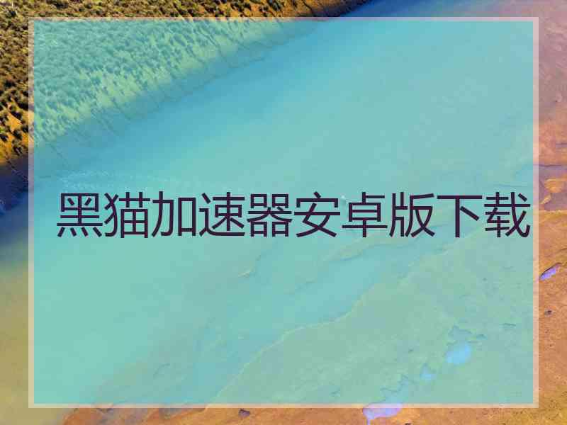 黑猫加速器安卓版下载 黑猫加速器安卓版下载