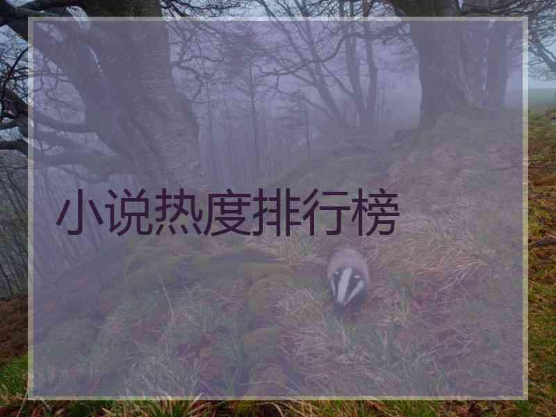 小说热度排行榜 小说热度排行榜