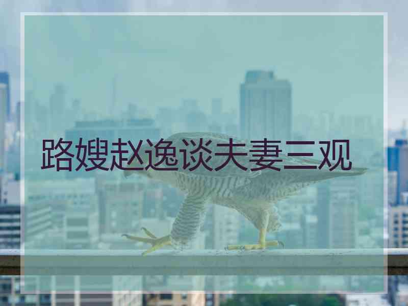 路嫂赵逸谈夫妻三观 路嫂赵逸谈夫妻三观