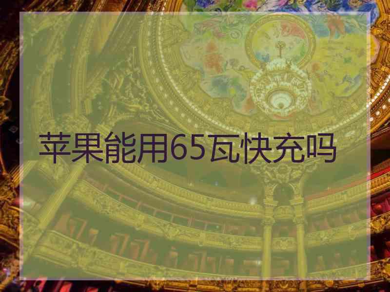 苹果能用65瓦快充吗 苹果能用65瓦快充吗