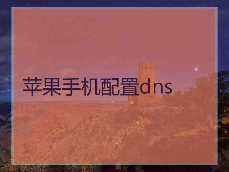 苹果手机配置dns 苹果手机配置dns