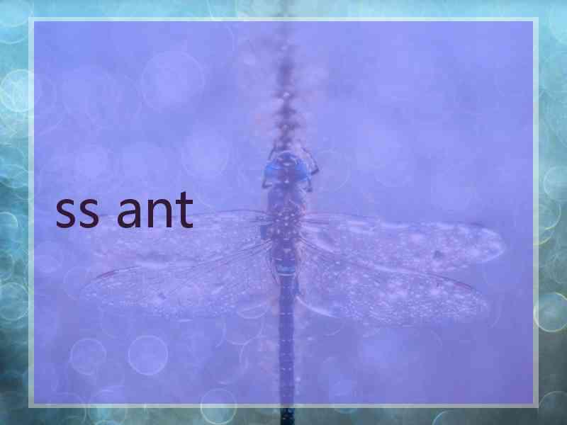 ss ant ss ant