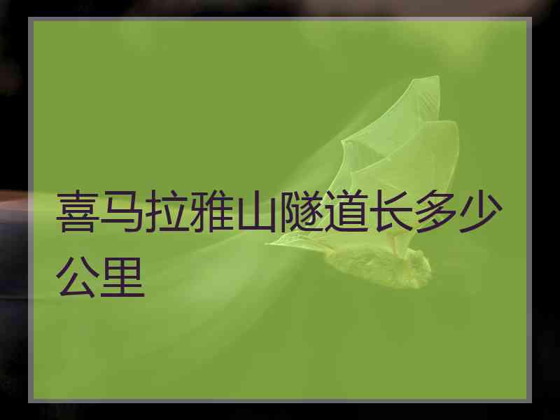 喜马拉雅山隧道长多少公里 喜马拉雅山隧道长多少公里