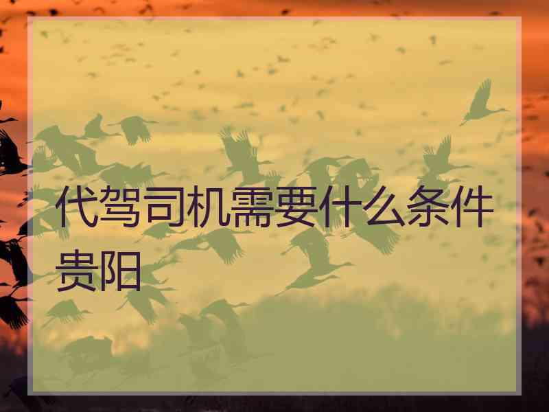代驾司机需要什么条件贵阳 代驾司机需要什么条件贵阳