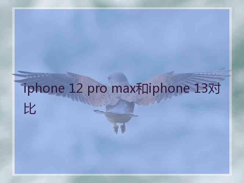 iphone 12 pro max和iphone 13对比 iphone 12 pro max和iphone 13对比