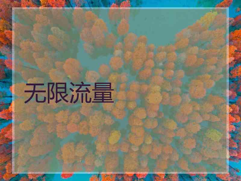 无限流量 无限流量