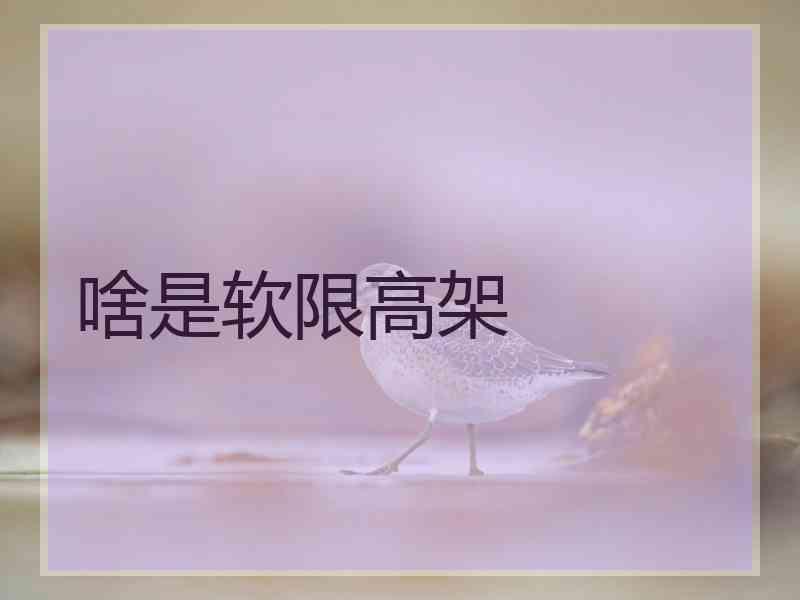 啥是软限高架 啥是软限高架