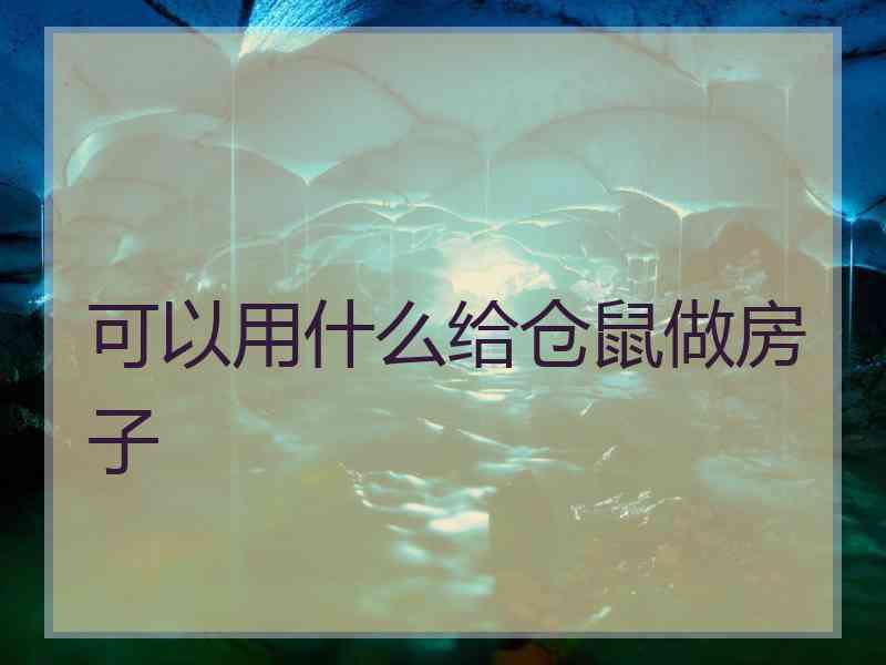 可以用什么给仓鼠做房子 可以用什么给仓鼠做房子