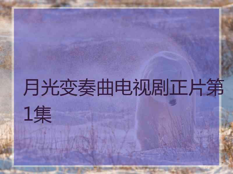 月光变奏曲电视剧正片第1集 月光变奏曲电视剧正片第1集