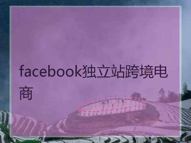 facebook独立站跨境电商 facebook独立站跨境电商