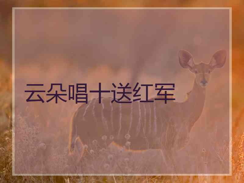云朵唱十送红军 云朵唱十送红军