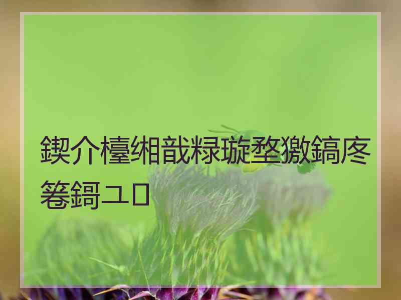 鍥介檯缃戠粶璇堥獥鎬庝箞鎶ユ 鍥介檯缃戠粶璇堥獥鎬庝箞鎶ユ