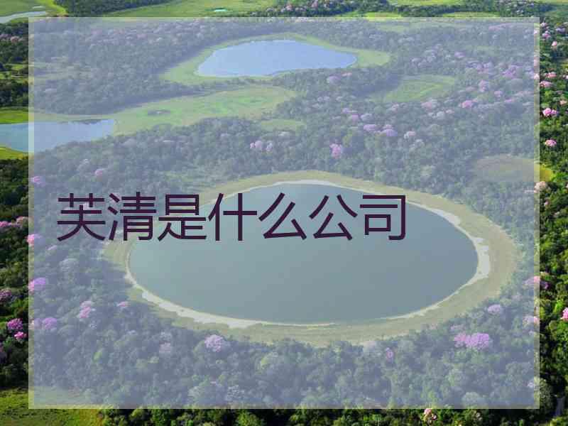 芙清是什么公司 芙清是什么公司