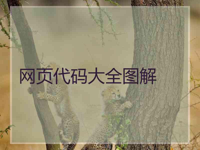 网页代码大全图解 网页代码大全图解
