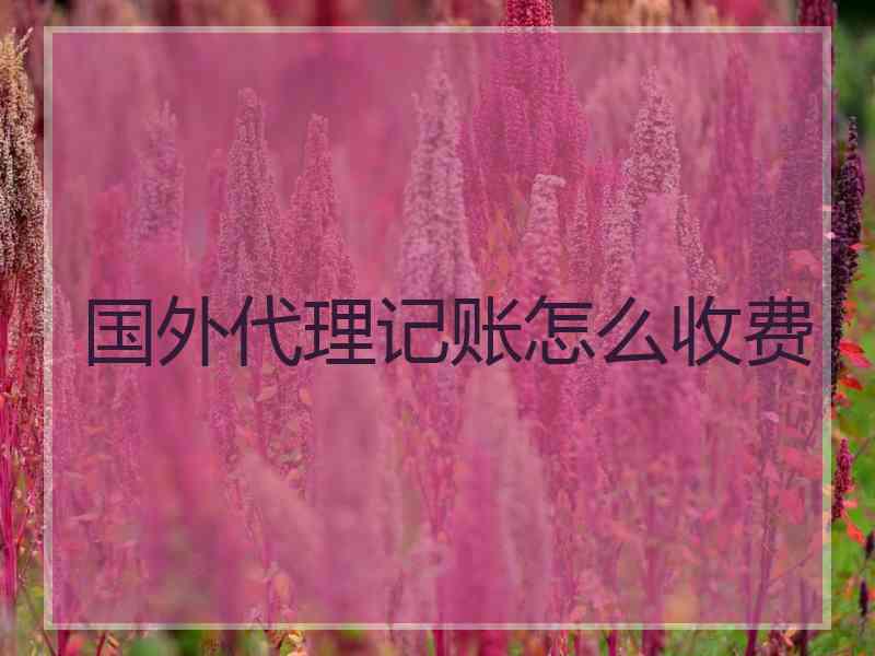 国外代理记账怎么收费 国外代理记账怎么收费