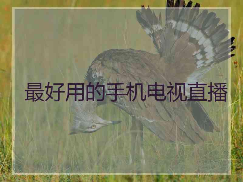 最好用的手机电视直播 最好用的手机电视直播