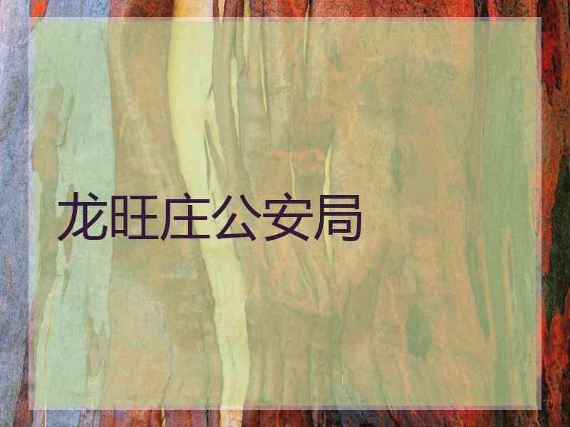 龙旺庄公安局 龙旺庄公安局
