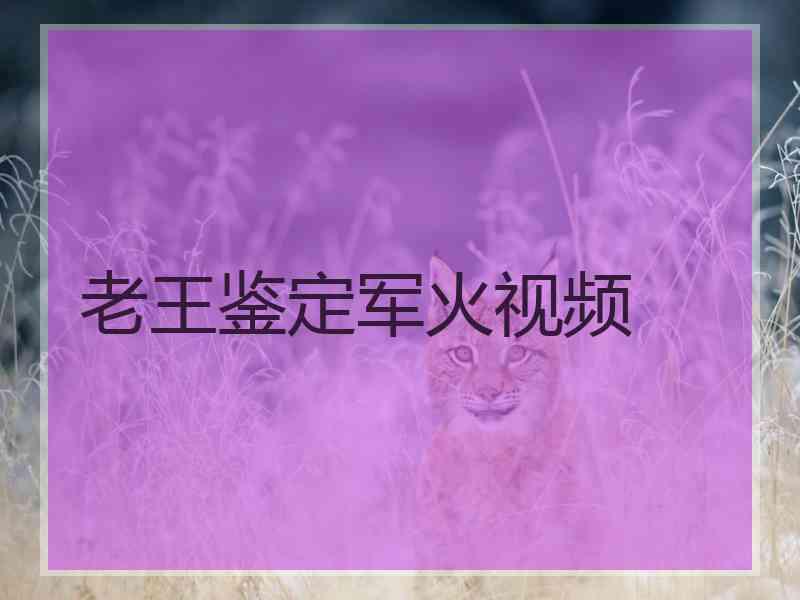 老王鉴定军火视频 老王鉴定军火视频