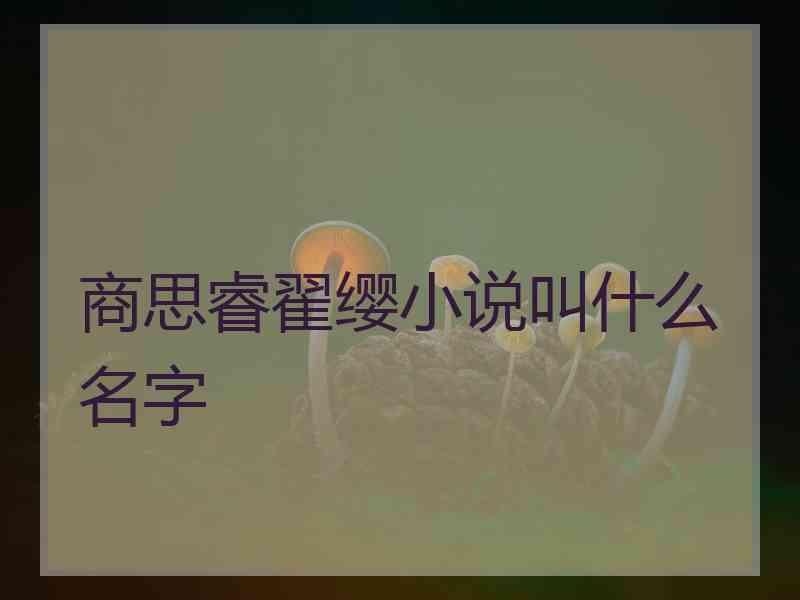 商思睿翟缨小说叫什么名字 商思睿翟缨小说叫什么名字