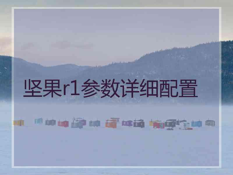 坚果r1参数详细配置 坚果r1参数详细配置