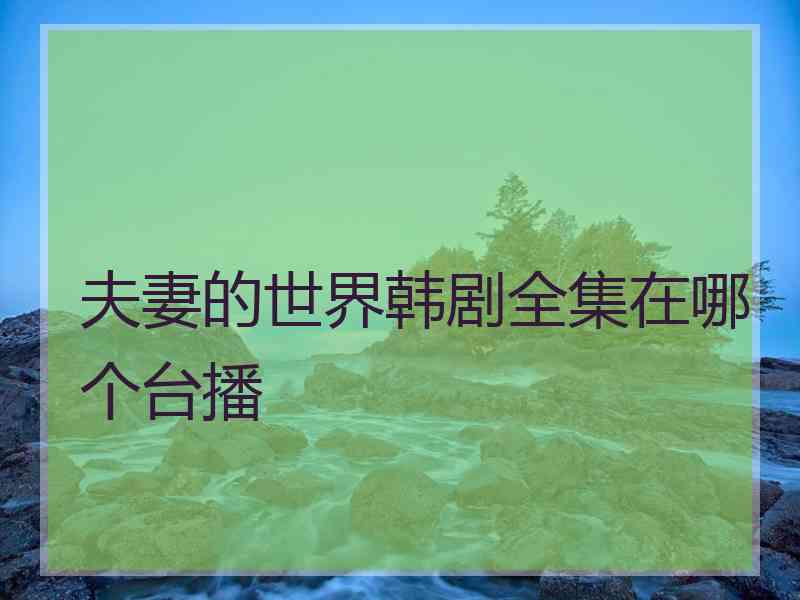 夫妻的世界韩剧全集在哪个台播 夫妻的世界韩剧全集在哪个台播