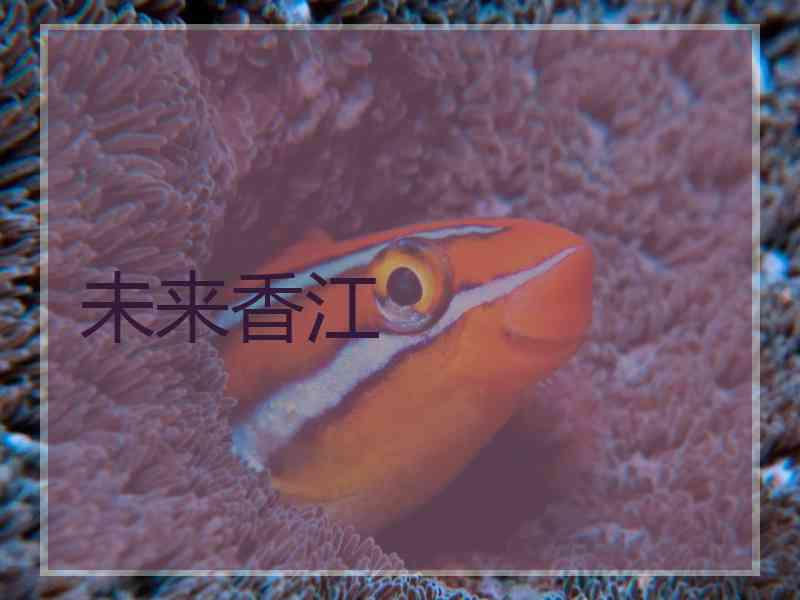 未来香江 未来香江