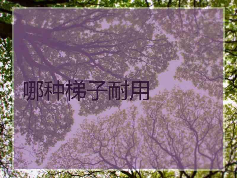 哪种梯子耐用 哪种梯子耐用