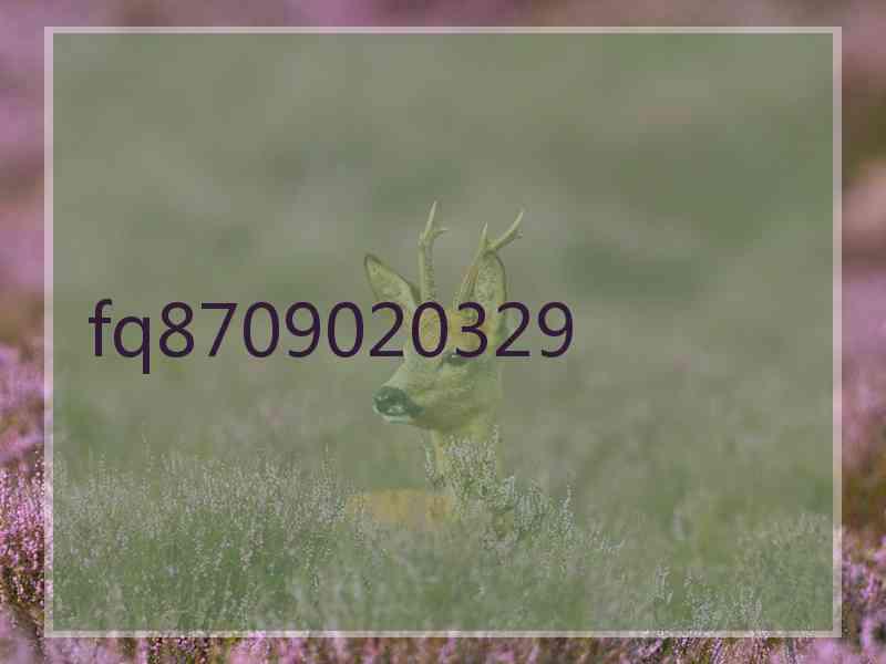 fq8709020329 fq8709020329